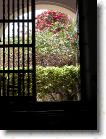 DSCN0029 * Entrance to colorful courtyard. * 1920 x 2560 * (967KB)