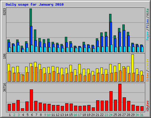 Daily usage for January 2010