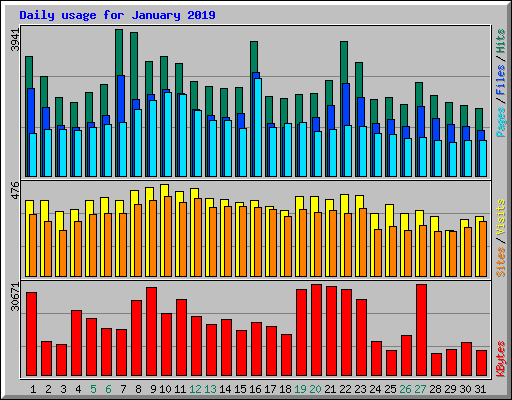 Daily usage for January 2019