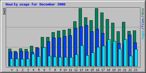 Hourly usage for December 2008