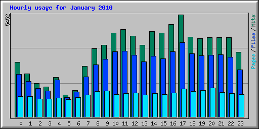Hourly usage for January 2010