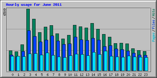 Hourly usage for June 2011