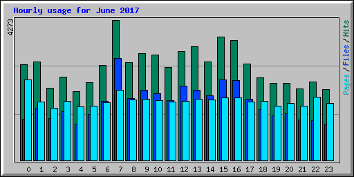 Hourly usage for June 2017