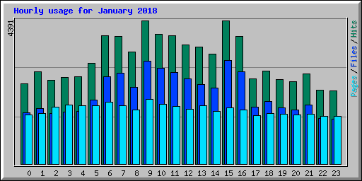 Hourly usage for January 2018