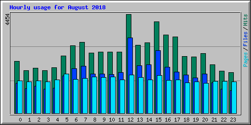 Hourly usage for August 2018