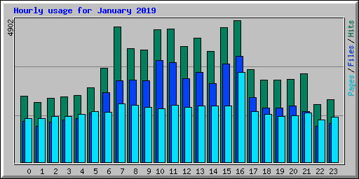 Hourly usage for January 2019