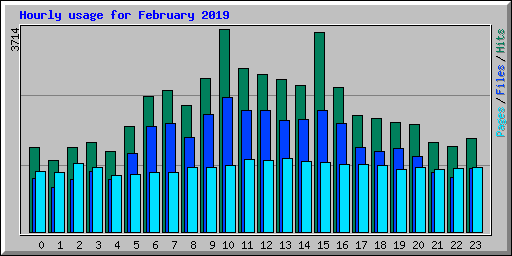 Hourly usage for February 2019