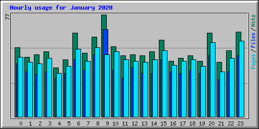 Hourly usage for January 2020